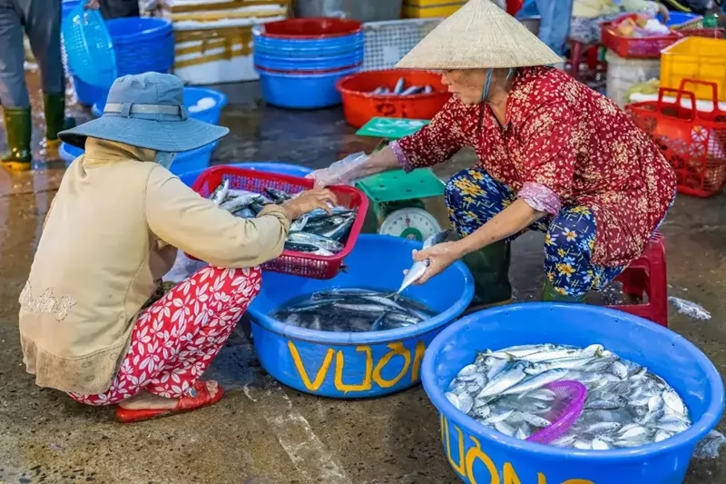Nơi lựa chọn cá tươi sống được mọi người biết đến rộng rãi